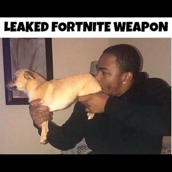 Meet your Posher, Ayden - Picture 1 of 1